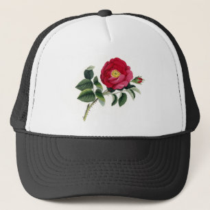 Botanische afdruk - Frans Roos (Rosa Gallica) Trucker Pet