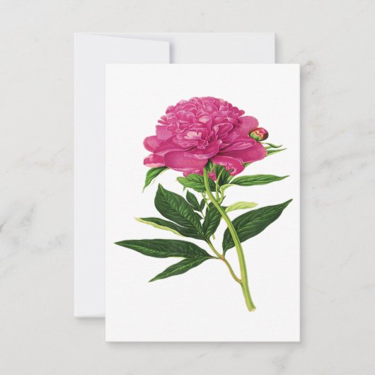  botanische afdruk, Fuchsia Pink Peony Bedankkaart (Voorkant)