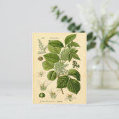 Botanische afdruk - gifijsheek (Toxicodendron) Briefkaart (Staand voorkant)