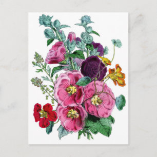 Botanische afdruk - Hollyhocks & Rozen Briefkaart
