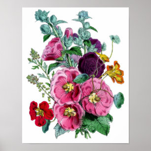 Botanische afdruk - Hollyhocks & Rozen Poster