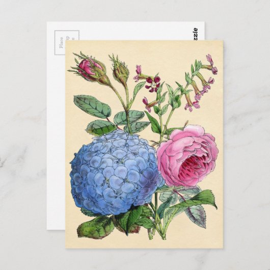 Botanische afdruk — Hydrangea en Rozen Briefkaart (Voorkant / Achterkant)