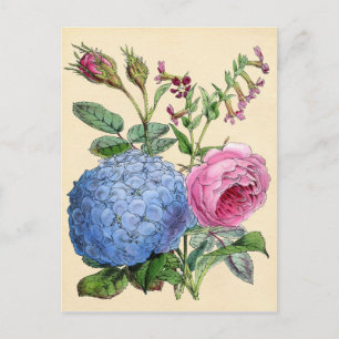 Botanische afdruk — Hydrangea en Rozen Briefkaart