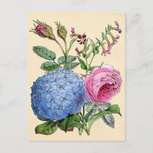 Botanische afdruk — Hydrangea en Rozen Briefkaart (Voorkant)