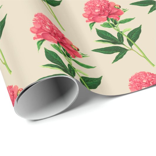 botanische afdruk, koraalroze pony cadeaupapier (Rol Hoek)
