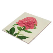  botanische afdruk, koraalroze pony tegeltje (Zijkant)