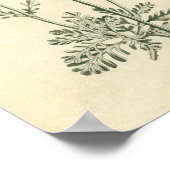 Botanische afdruk - lavender poster (Hoek)