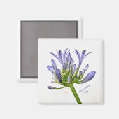 Botanische afdruk - Lily van de Nijl Magneet (Voorkant / Achterkant)