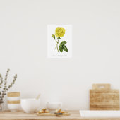  Botanische Afdruk Maréchal Niel Yellow Rose Poster (Keuken)