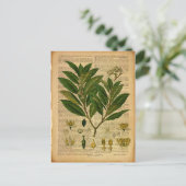 Botanische afdruk op de oude boekpagina briefkaart (Staand voorkant)