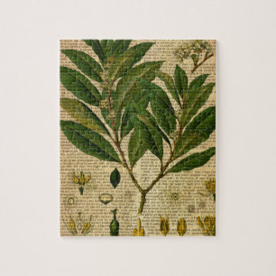 Botanische afdruk op de oude boekpagina legpuzzel