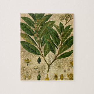 Botanische afdruk op de oude boekpagina legpuzzel