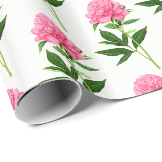  botanische afdruk, Pastel Pink Peony Cadeaupapier (Rol Hoek)