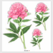  botanische afdruk, Pastel Pink Peony Sticker (Vel)