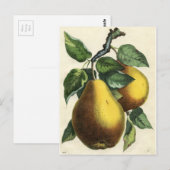  botanische afdruk - peren briefkaart (Voorkant / Achterkant)