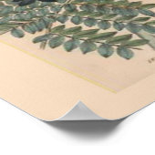 botanische afdruk poster (Hoek)