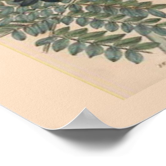  botanische afdruk poster (Hoek)