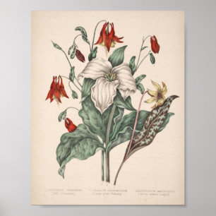 botanische afdruk poster