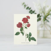 Botanische afdruk  rode rozen briefkaart (Staand voorkant)