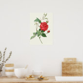 Botanische afdruk rode rozen poster (Keuken)