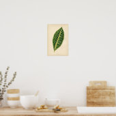 Botanische afdruk - Tropisch lef Poster (Keuken)