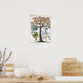 Botanische afdruk uit de 18e eeuw poster (Keuken)