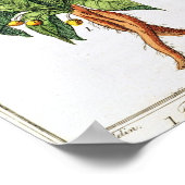 Botanische afdruk uit de 18e eeuw poster (Hoek)