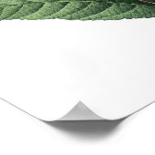 Botanische afdruk van BLUE BELLS origineel door Re Poster (Hoek)