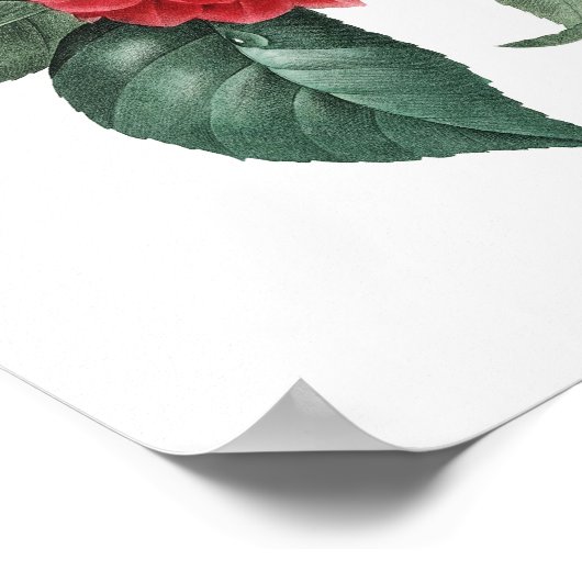Botanische afdruk van de originele CAMELIA-tekst v Poster (Hoek)