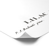  botanische afdruk van een Chinees lila Poster (Hoek)