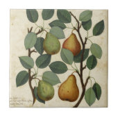 Botanische afdruk van  fruit op peren tegeltje (Voorkant)