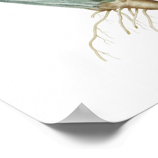 Botanische afdruk van IRISES origineel door Redout Poster (Hoek)