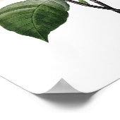 Botanische afdruk van PINK MAGNOLIA door Redoute Poster (Hoek)