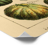 botanische afdruk van Poster op basis van groente (Hoek)