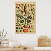 botanische afdruk van Poster op basis van groente (Keuken)