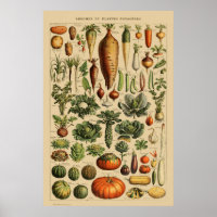  botanische afdruk van Poster op basis van groente