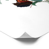 Botanische afdruk van ROZEN origineel door Redoute Poster (Hoek)