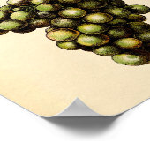 Botanische afdruk - witte druiven poster (Hoek)