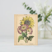 Botanische afdruk - Zonnebloem & Marigold Briefkaart (Staand voorkant)