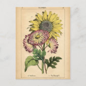 Botanische afdruk - Zonnebloem & Marigold Briefkaart (Voorkant)