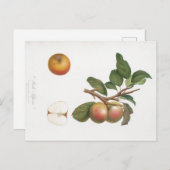  BOTANISCHE AFDRUKAPPARAAT EN BRIEFKAART VAN DE KA (Voorkant / Achterkant)