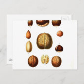  botanische afdrukken op noten briefkaart (Voorkant / Achterkant)