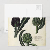  Botanische afdrukken van Artichoke Briefkaart (Voorkant / Achterkant)