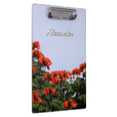 Botanische Afrikaanse Tulp Boom elke tekst Klembord (Rechts)
