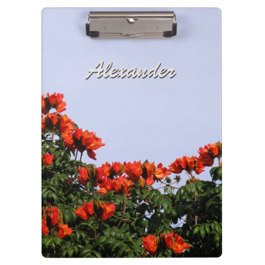 Botanische Afrikaanse Tulp Boom elke tekst Klembord (Voorkant)