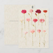  botanische anenillustratie briefkaart (Voorkant / Achterkant)