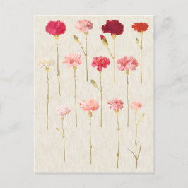 botanische anenillustratie briefkaart