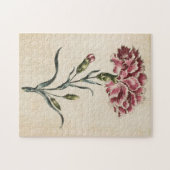  botanische anische anjer legpuzzel (Horizontaal)