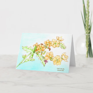 Botanische aquarel klaproos globemallow kaart