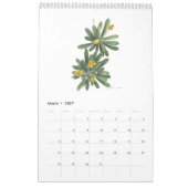 Botanische Aquarellen Kalender 2026 (Mar 2027)
